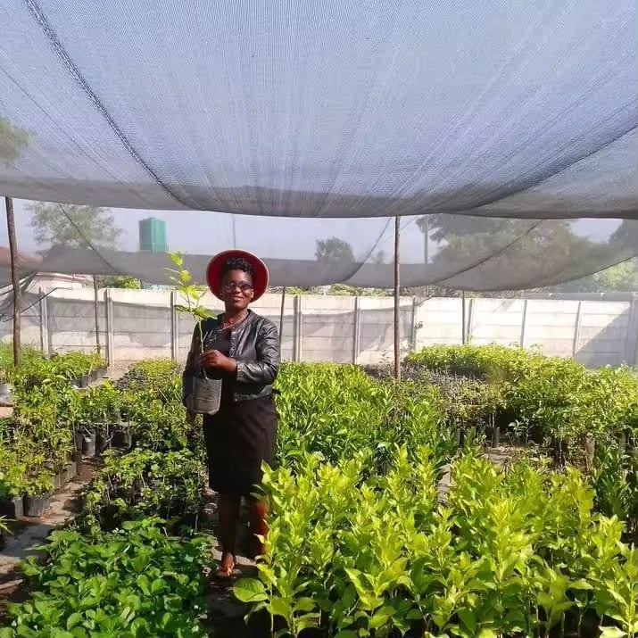Shade netting