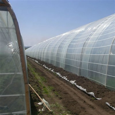 UV-beständige 200 Mikron-Kunststofffolie für Gewächshäuser – langlebige landwirtschaftliche Abdeckung